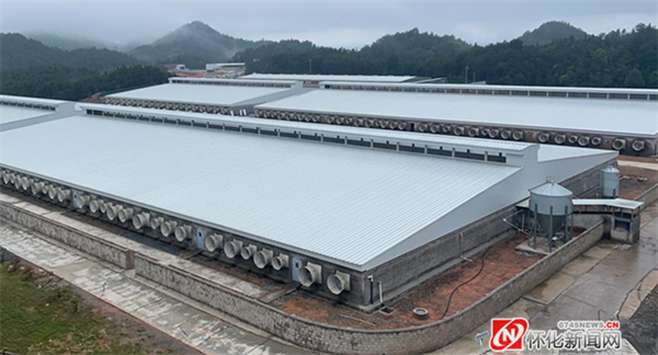会同天心种业投资9600万元建设的6000头母猪场。