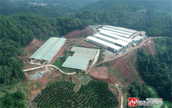 麻阳蓝凤凰农业发展有限公司养殖基地。