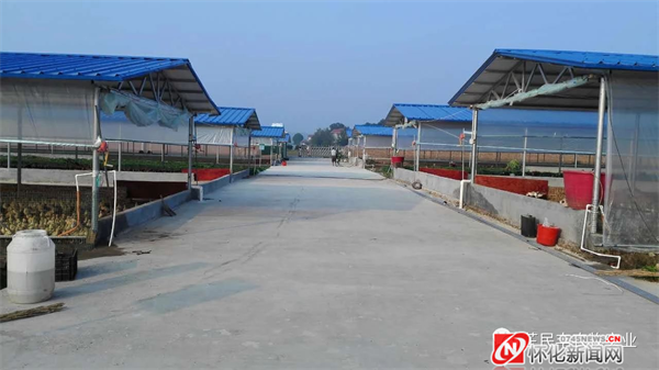 芷江民丰农牧实业有限公司即湖南芷民丰农牧科技有限公司基地。